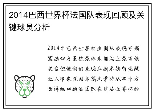 2014巴西世界杯法国队表现回顾及关键球员分析
